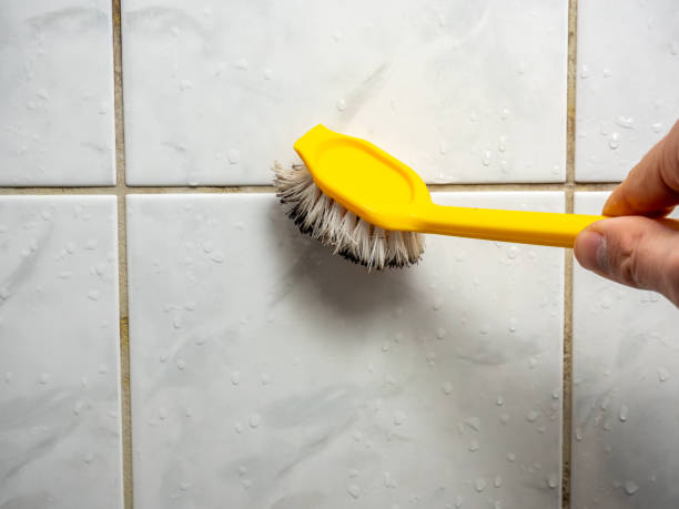 Best Mold Damage Repair  in Dewitt, AR