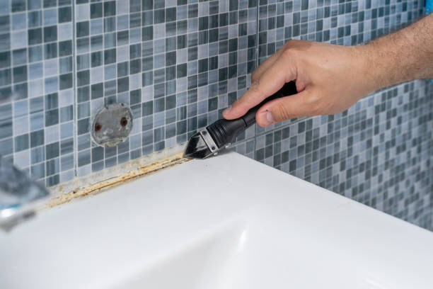 Best Commercial Mold Removal  in Dewitt, AR