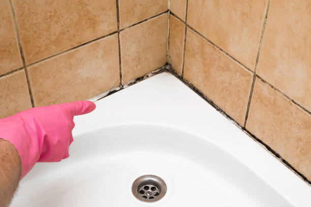 Best Mold Remediation Services  in Dewitt, AR